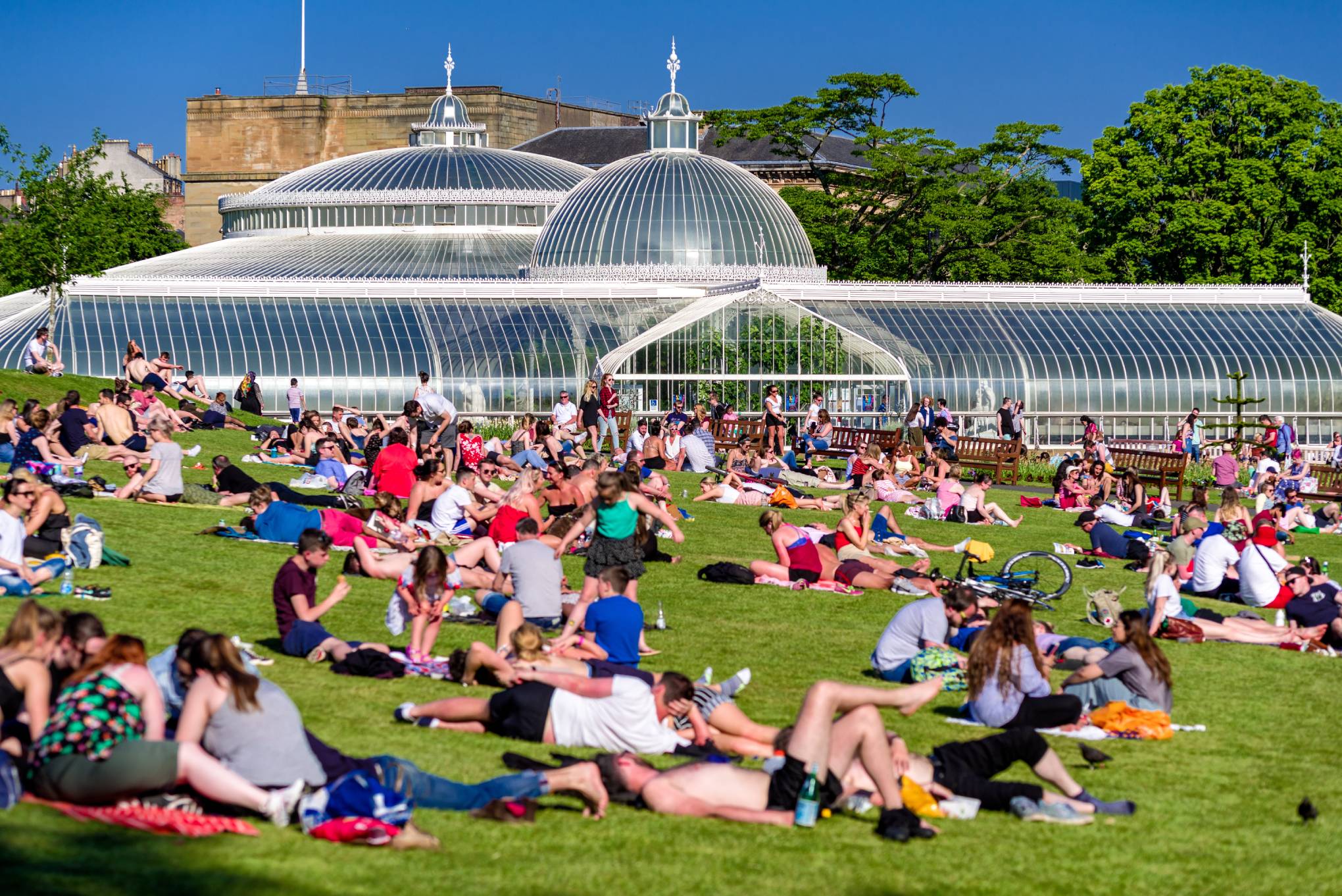 Glasgow botanic gardens at summer