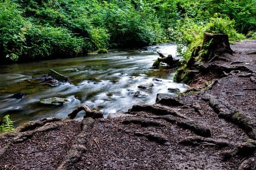 Rouken Glen Park